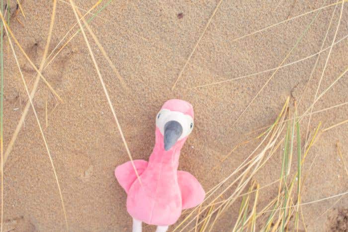 Plush flamingo Alicia | 18 cm