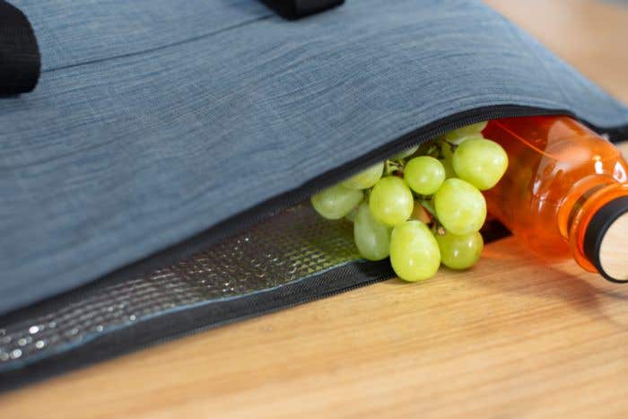 600D polyester cooler bag Alejandro