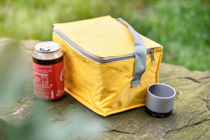 Polyester (420D) cooler bag Cleo