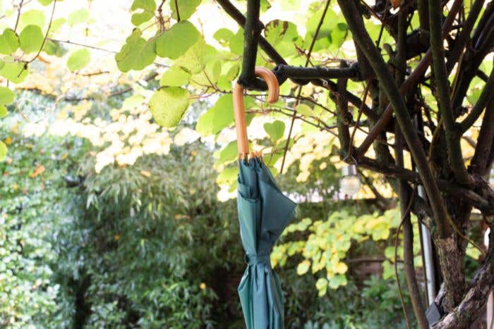 Polyester (190T) umbrella Kelly