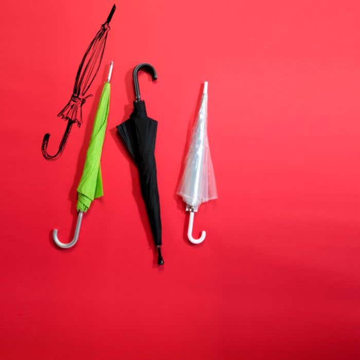 Pongee (190T) Charles Dickens® umbrella Annabella