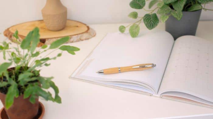 Balpen Carson | Bamboe | Zilverdetails