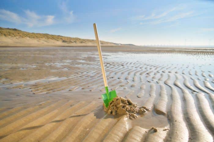 Wooden garden shovel Marigold