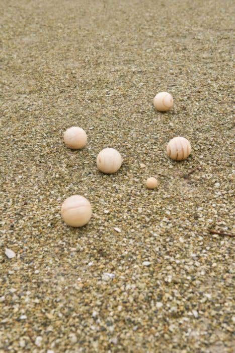 Jeu-de-boulesset Quillian | Hout