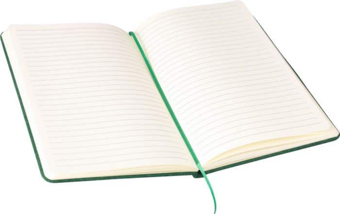 Notitieboek Danio | Gerecycled vilt | A5 | Gelinieerd