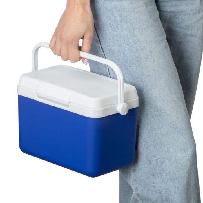 Koelbox 4 liter Sunkissed