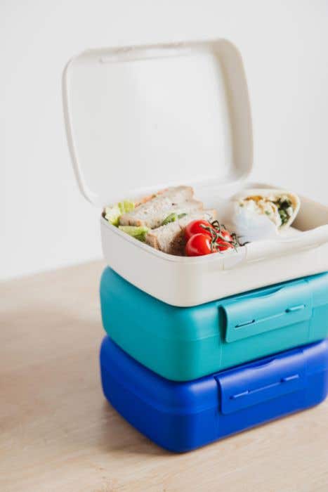 Day to Day lunch box Brunchbox | 1.4 l