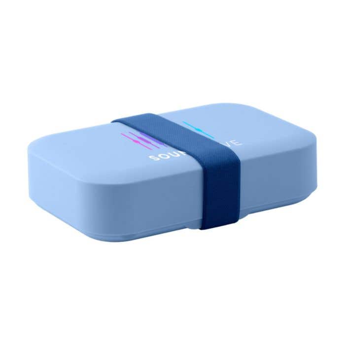 Day to Day lunch box Elastic | 750 ml