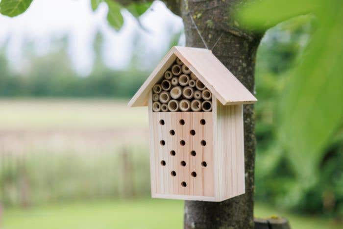 Bijenhuisje Fahim | Gerecycled hout