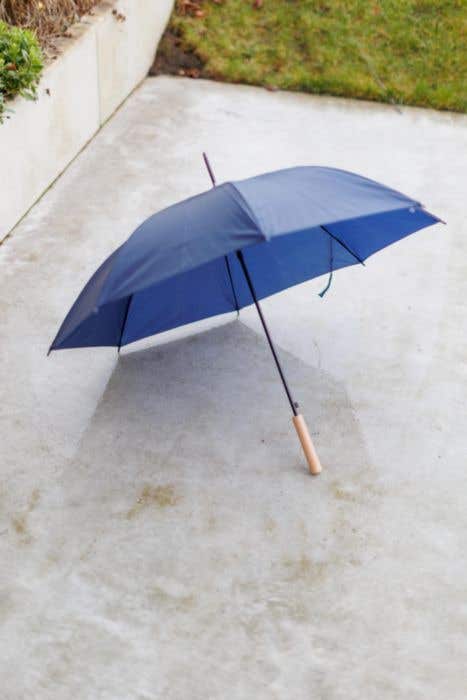 Umbrella Andy