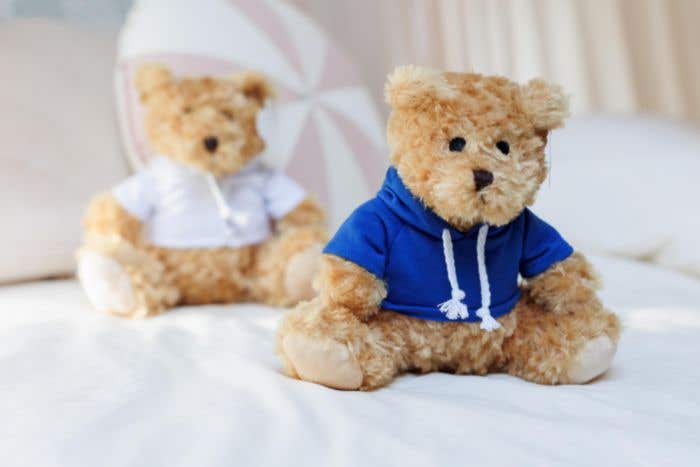 Teddy bear Monty