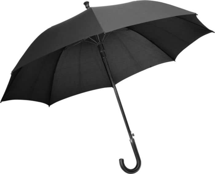 Charles Dickens umbrella Annabella | Automatic