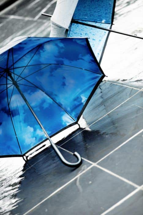 Umbrella Ronnie | Nylon