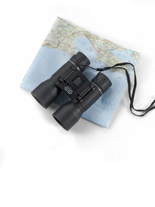 Jumelles 10 x 42 en gomme Giselle