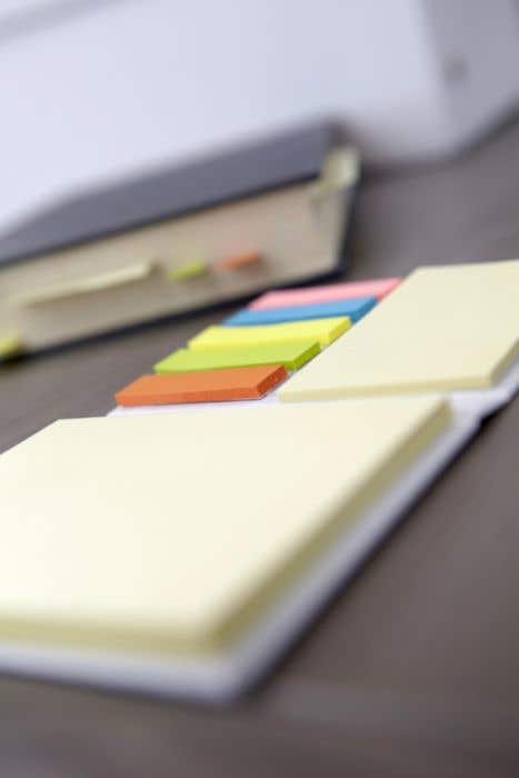 Cardboard holder with sticky notes Duke