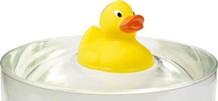 Rubber duck Mirta
