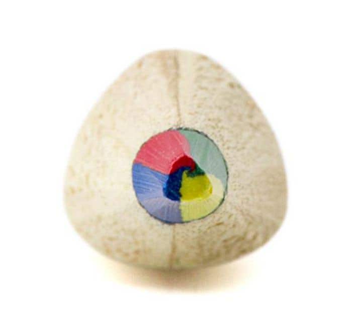 Multicolored pencil Mae