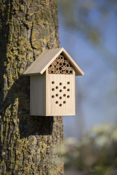 Casita de madera para abejas Fahim